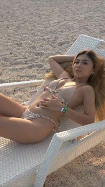 XVideos2